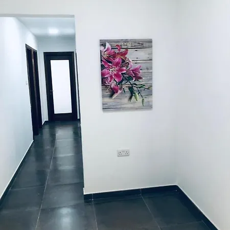 Stylish Retreat In Ta'xbiex 公寓
